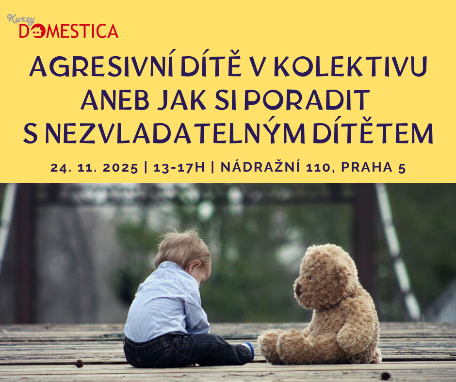 Sousedská dětská skupina